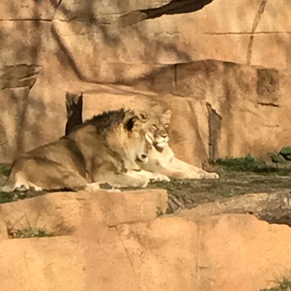 Meet your Posher, Katie - Picture 1 of 1